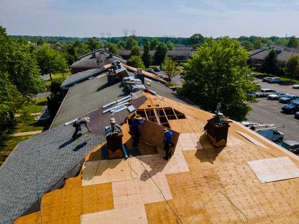 Best Residential Roofing Contractor  in Nashua, IA