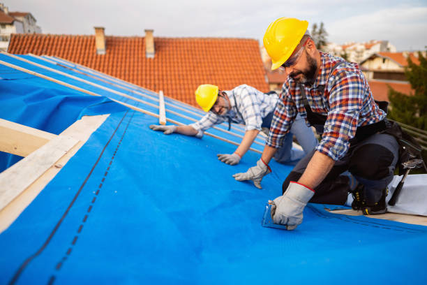 Professional Roofing Contractor in Nashua, IA